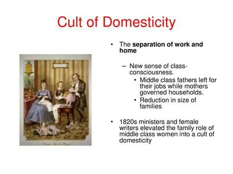 The Cultural Significance of Domesticity