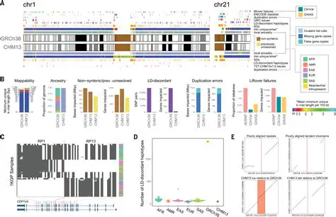 The Current State of Genome Understanding