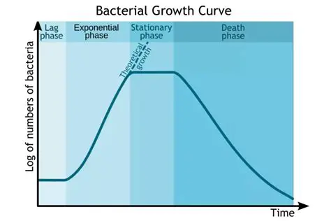 The Dangers of Bacterial Growth