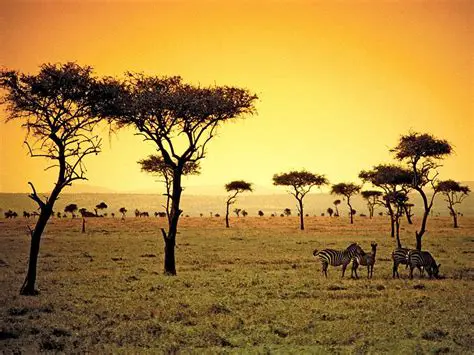 The Definition of Savannas