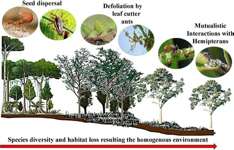The Devastating Impact of Habitat Loss on Global Biodiversity
