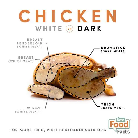 The Difference Between Light and Dark Meat