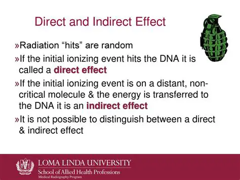 The Direct and Indirect Effects of Conflict