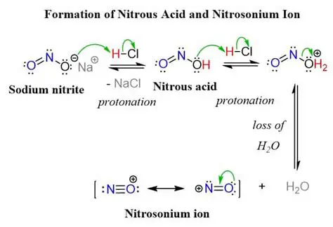The Dissociation of Nitrous Acid