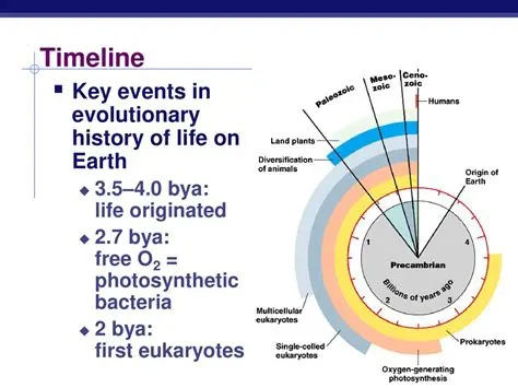 The Early History of Life on Earth
