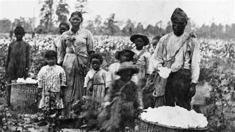 The Economic Importance of Slavery in the South