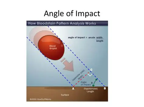 The Effect of Angle of Impact on Blood Droplets