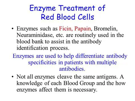 The Effect of Bromelin Enzymes on the Chemical Composition of Beef
