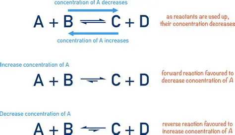 The Effect of Decreasing Reactant Concentration on Reaction Rate