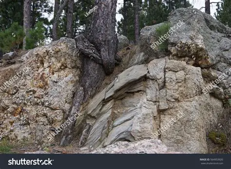 The Effect of Frost Wedging on Rock Surface Area