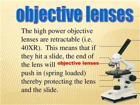 The Effect of Higher Power Objective Lenses on Field of View