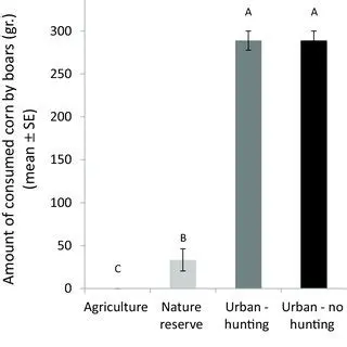 The Effect of Land Use Types