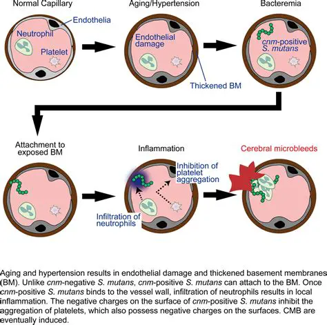 The Effectiveness of Lime Juice in Inhibiting the Growth of Streptococcus Mutans