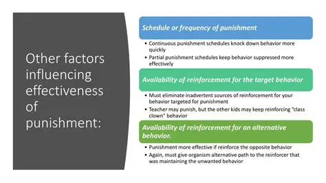 The Effectiveness of Punishment as a Deterrent