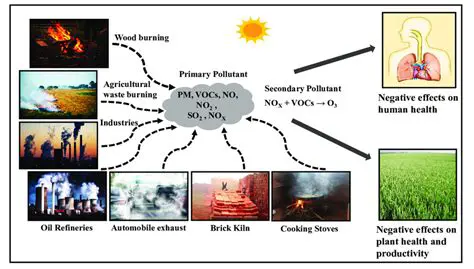 The Effects of Pollutants on Human Health