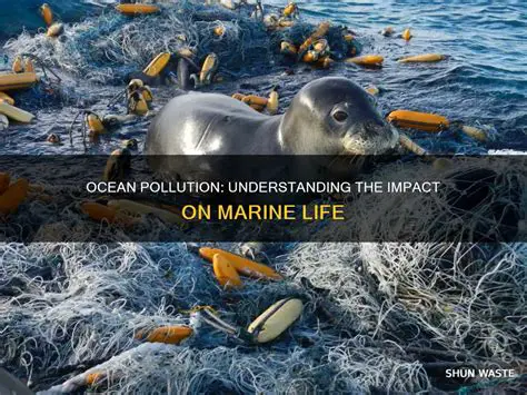 The Effects of Pollution on Marine Life