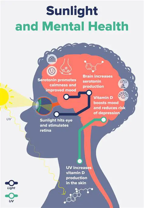 The Effects of Sunlight on Human Health