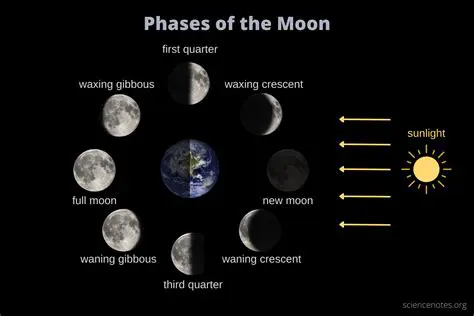 The Eight Phases of the Moon
