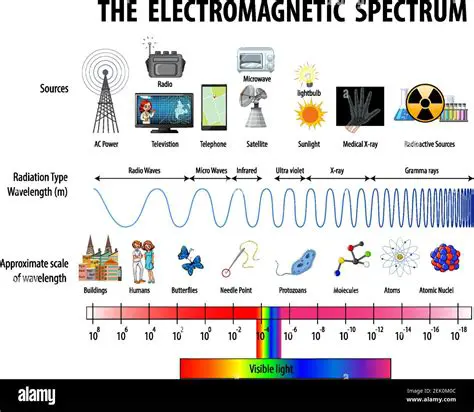 The Electromagnetic Spectrum