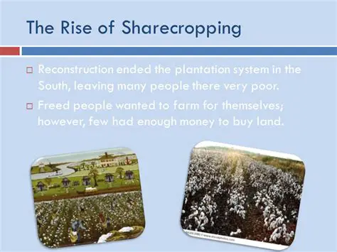 The End of Slavery and the Rise of Sharecropping