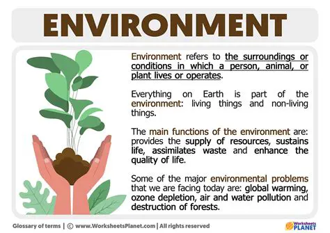 The Environment That Does Not Support