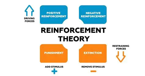 The Evolution of Reinforcement Theory
