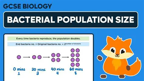 The First Bacterial Population