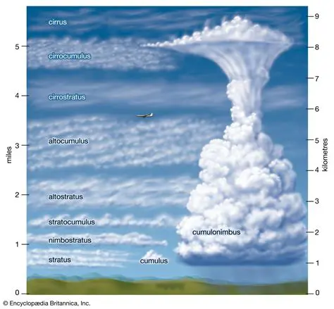The Formation of Cumulus and Stratus Clouds
