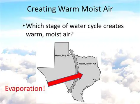 The Formation of Warm Moist Air