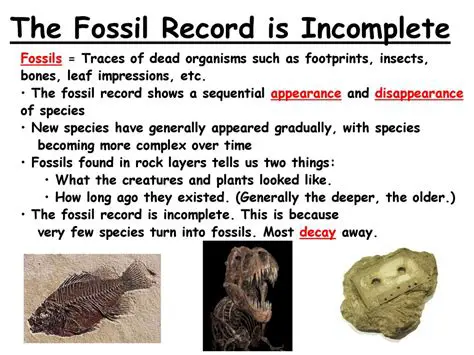 The Fossil Record is Incomplete