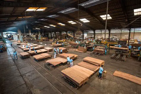 The Founding and Early Years of PT Mujur Timber