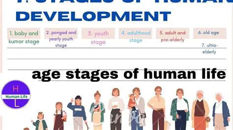 The Four Stages of Human Development