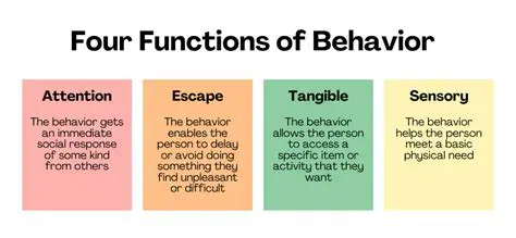 The Function and Its Behavior
