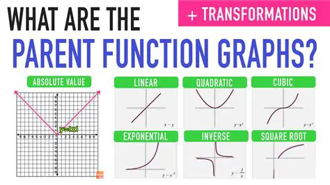 The Function and Its Components