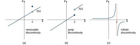 The Function and Its Limit
