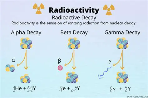The Function of Radioactive Decay