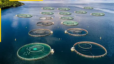 The Future of Fish Farms and Fisheries