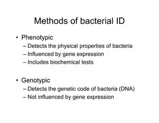 The Genetic Code of Bacteria