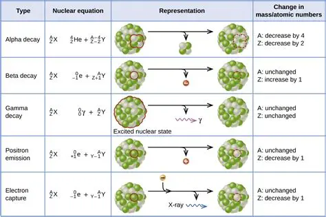 The Given Nuclear Decay Reaction