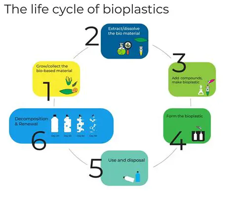 The Growing Concerns of Plastic Waste and the Emergence of Biodegradable Plastics