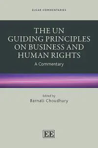 The Guiding Principles on Business and Human Rights