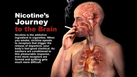 The Hidden Truth Behind Tobacco Products