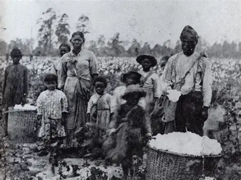The History of Slavery in the United States