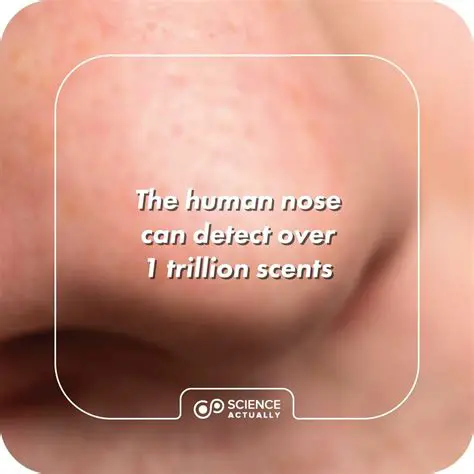 The human nose can detect over 1 trillion different scents