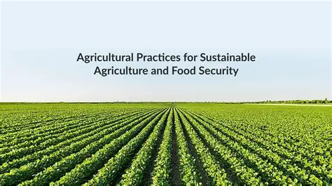 The Impact of Agricultural Policy on Food Production