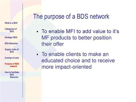 The Impact of BDS on Entrepreneur Income