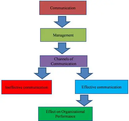 The Impact of Communication on Employee Performance and Student Services