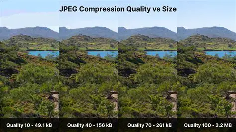 The Impact of Compression on Download Sizes