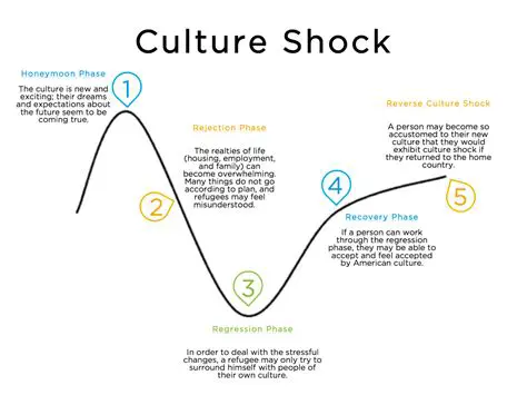 The impact of culture shock on business outcomes