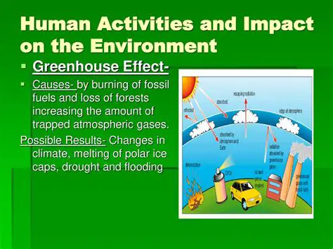 The Impact of Human Activities on the Mesosphere
